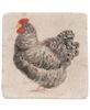 Picture of Chicken Resin Coasters, 4/Set