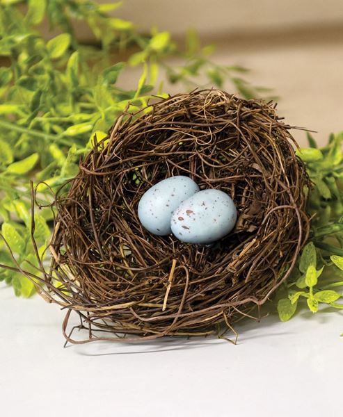 Picture of Angelvine Birdnest With Eggs, 4.5"