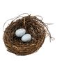 Picture of Angelvine Birdnest With Eggs, 4.5"