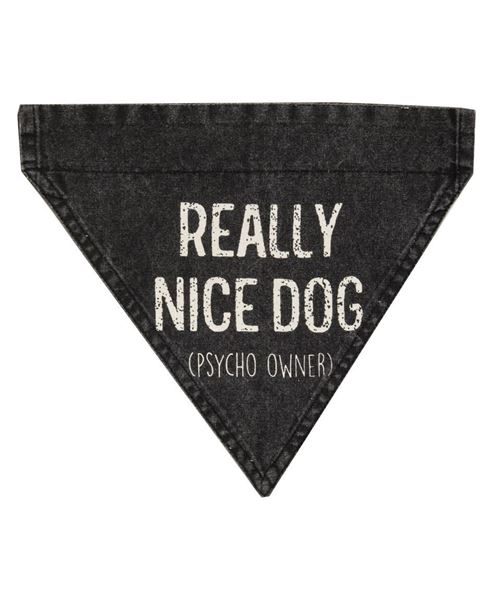 Picture of Really Nice Dog (Psycho Owner) Dog Bandana