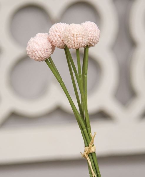 Picture of Pink Billy Ball Bouquet