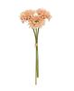 Picture of Triple Gerbera Daisy Bouquet, Peach