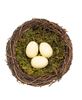 Picture of Vine & Moss Bird Nest w/Cream Eggs, 5.5"