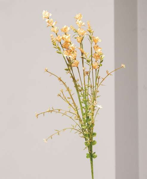 Picture of Spring Wildflower Blossoms, Peach