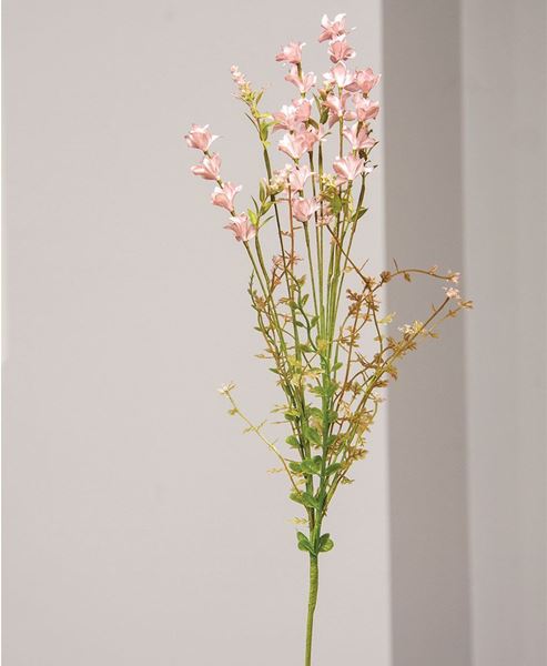 Picture of Spring Wildflower Blossoms, Dusty Mauve