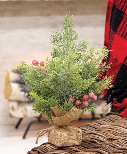 Picture of Mini Sugar Berry Pine Tree w/Burlap Base, 12"H