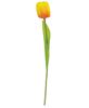 Picture of Sunrise Tulip Stem, 15.5"