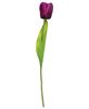 Picture of Purple Tulip Stem, 15.5"