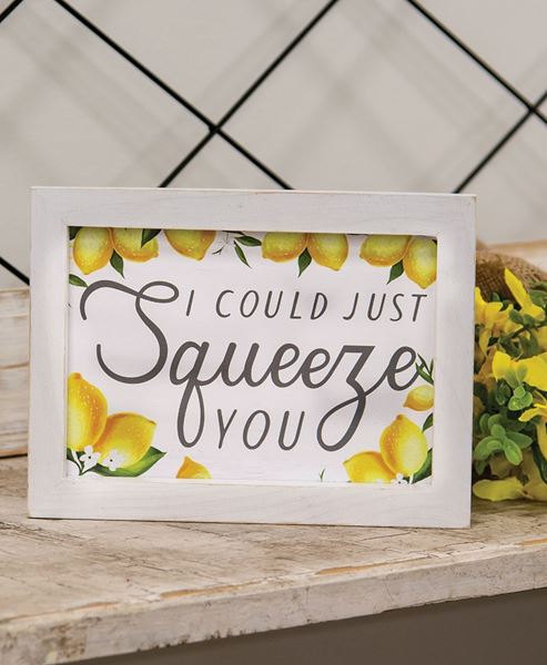 Picture of I Could Just Squeeze You Framed Sign