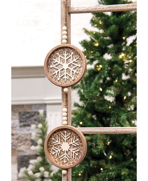 Picture of Cheetah Print Snowflake Shadowbox Hanger, 2/Set