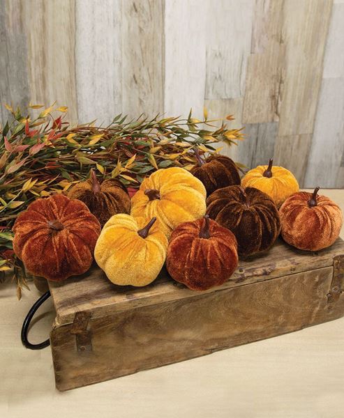 Picture of Velvet Harvest Pumpkins, 9/Bag