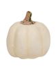 Picture of Mossy Top Cream Pumpkins, 5/Set