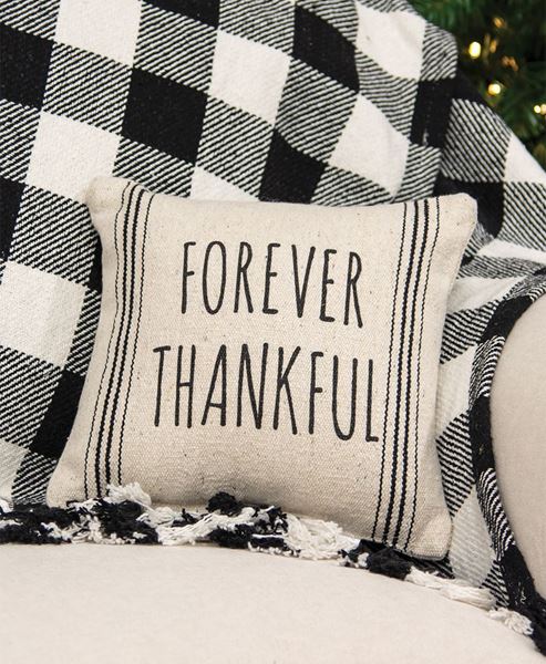 Picture of Forever Thankful Striped Natural Pillow