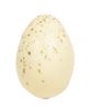 Picture of Natural Speckled Eggs in Bag, 6/Set