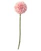 Picture of Pompom Stem, Blush