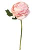 Picture of Peony Stem, Blush