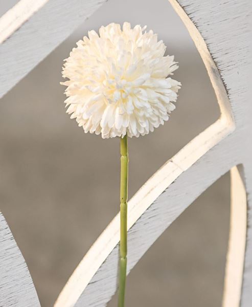 Picture of Pompom Stem, White