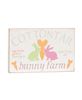 Picture of Cottontail Bunny Farm Block Sign, 2/Set