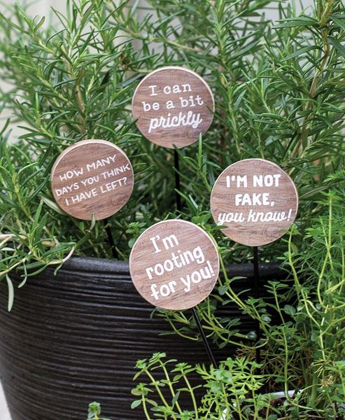 Picture of I'm Rooting For You Houseplant Poke, 4/Set