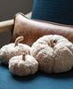 Picture of Ivory Sherpa Pumpkin w/Jute Stem, Small