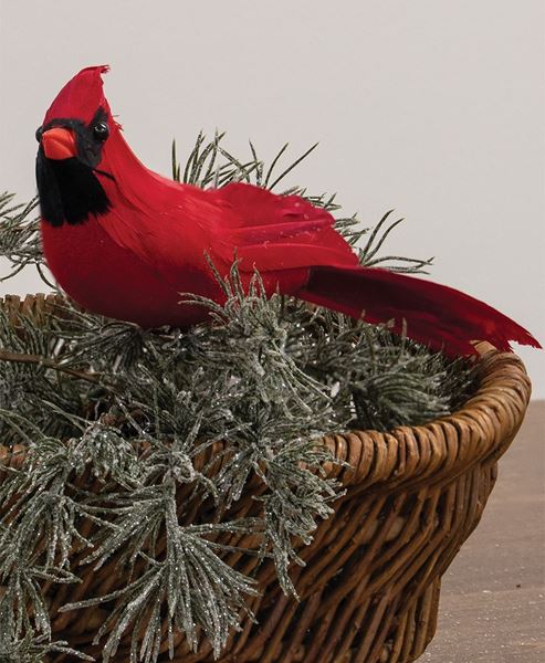 Picture of Red Feathered Cardinal Clip, 10"