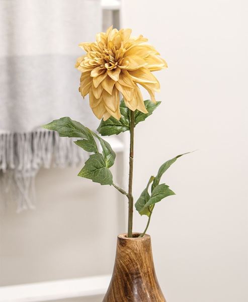 Picture of Teastain Dahlia Stem, 24"