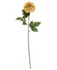 Picture of Teastain Dahlia Stem, 24"