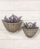 Picture of Nested Oval Basket, 2/Set