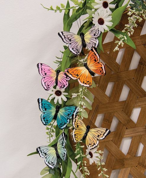 Picture of Multi-Colored Butterfly Clips, 6/Set