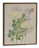 Picture of Queen Anne's Lace & Dill Botanical Box Sign