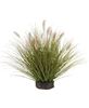 Picture of Onion Grass & Bunny Tail Pot Filler