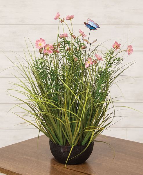 Picture of Potted Pink Cosmos w/ Onion Grass & Butterflies