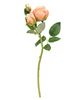 Picture of Blooming Peach Roses Pick, 17"