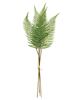 Picture of Wispy Fern Bundle, 21"