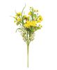 Picture of Sunny Chrysanthemum & Daisy Bush, 20"