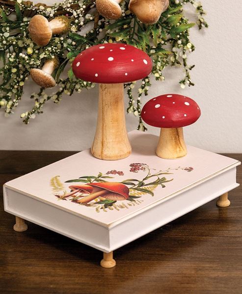 Picture of Let Me Be Wild & Free Wooden Mushroom Book Riser