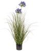 Picture of Potted Lily of the Nile & Onion Grass