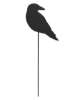 Picture of Wooden Crow Planter Stake Topper, 6.5"H