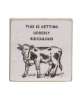 Picture of Udderly Ridiculous Square Block, 3/Set