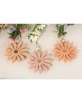 Picture of Pastel Wooden Daisy Ornament, 3/Set