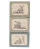 Picture of Spring Bunny Fabric Print Block, 3/Set