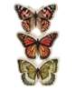 Picture of Watercolor Chunky Wood Butterfly Sitter, 3/Set